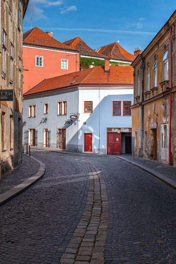 Penzion Maxwilliam Znojmo Exteriör bild